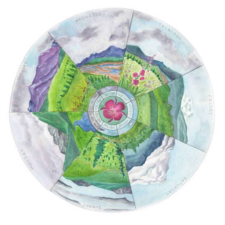Impresión de Arte de Rueda Fenológica: Siete Días en Denali para venta al por mayor de Tiny Nest Studio