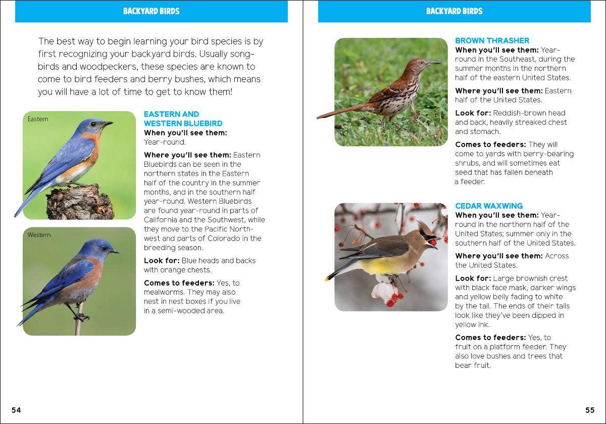 AdventureKEEN - Wholesale Nature & Outdoors - Backyard Birding for Kids: An Introduction to Ornithology4