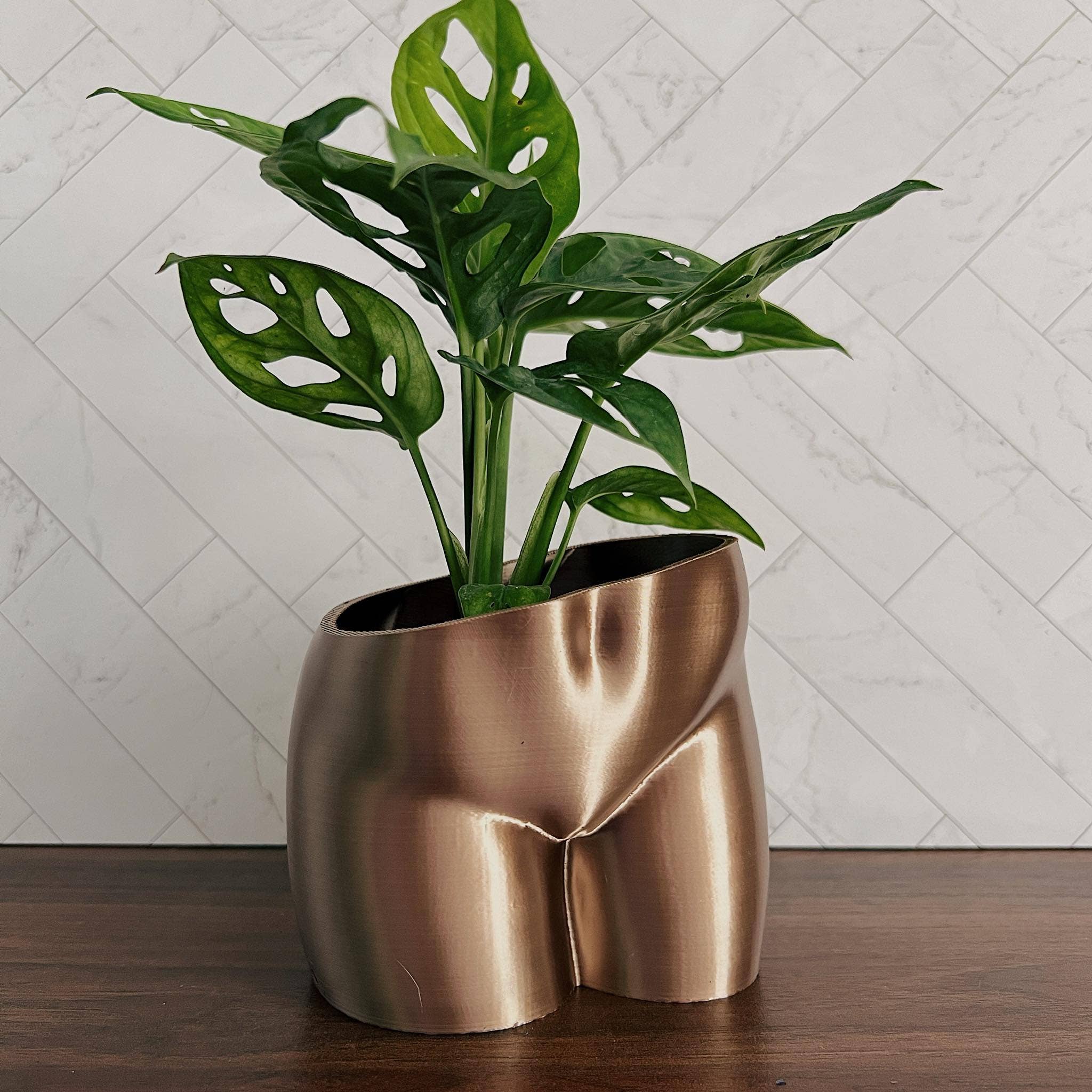 Peachy Pilea – Engroshandel Plantekrukke – Original Peachy Planter | Flere størrelser+tilgængelige farver6