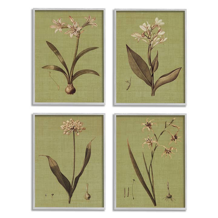 Vintage Botanical Plant Illustration Study 4pc Gray Framed for wholesale by Stupell Industries