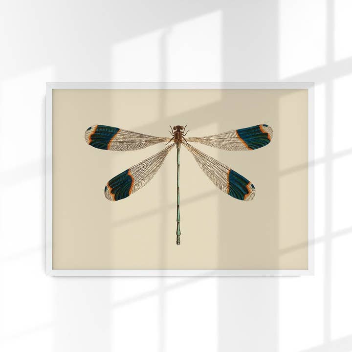 Dragonfly Plakat for engroshandel hos Patroa Studio
