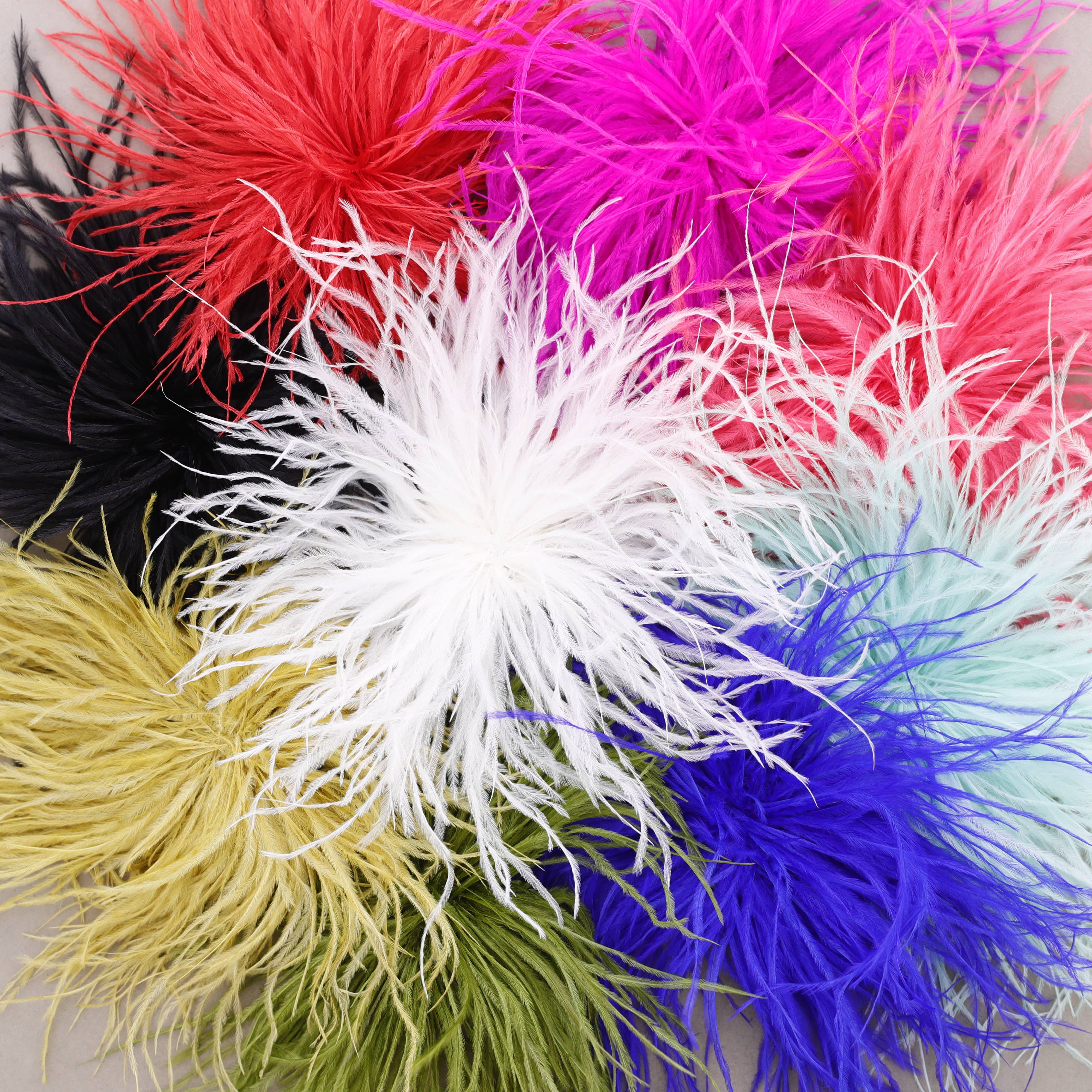 Sonata – wholesale Snap jewellery – Feather Brooch 10-15cm (B)9