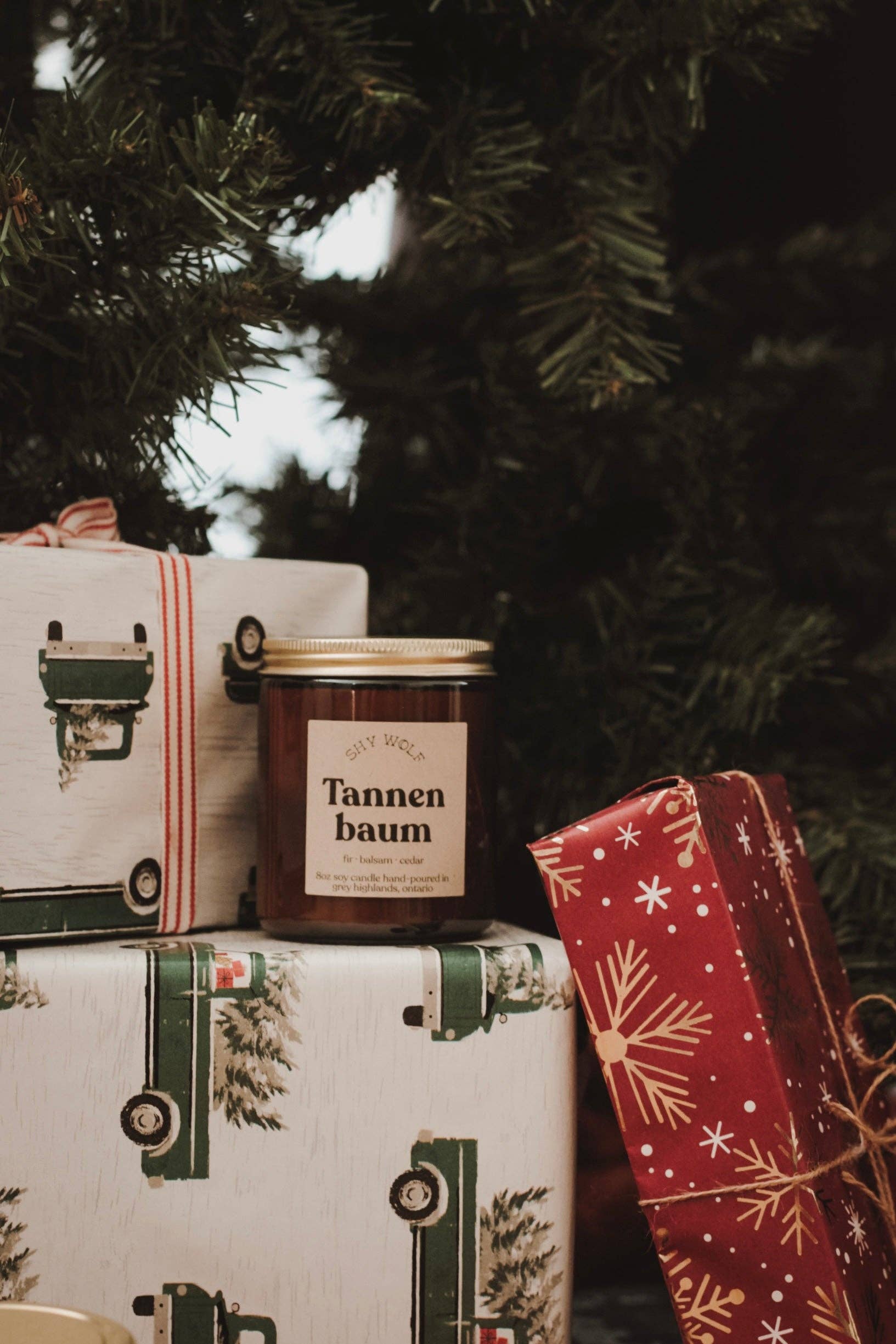 Shy Wolf Candles – wholesale Jar/filled candle – Tannenbaum 2