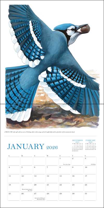 Simon & Schuster - Wholesale Calendar - Sibley's Birds of North America 2026 Wall Calendar by David Allen Sibley1