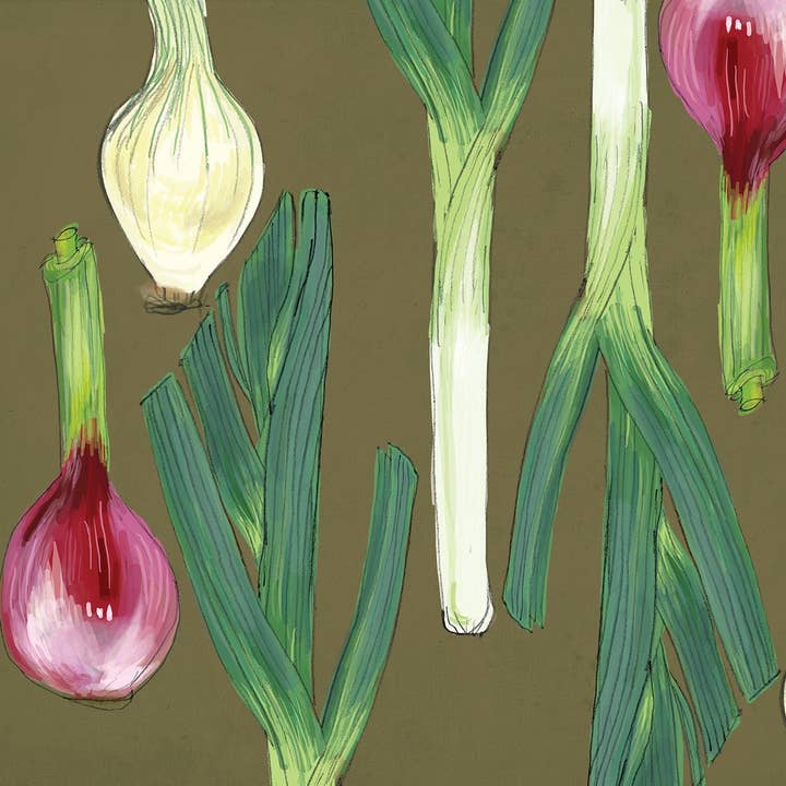 RFM-407 Onions Art Print for wholesale by Rigel Paper