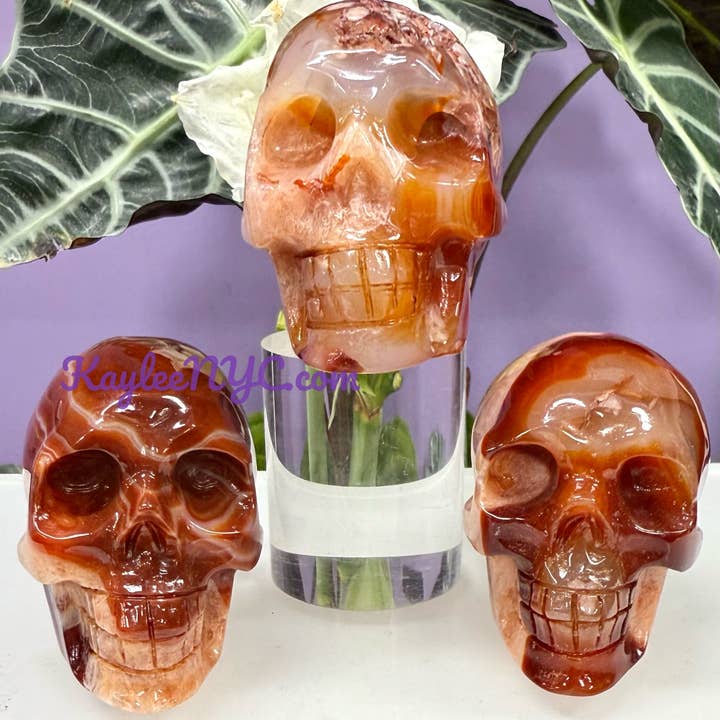 KayleeNYC - Wholesale Spiritual Stone/Crystal - Natural Carnelian Skull Crystal Healing Energy
