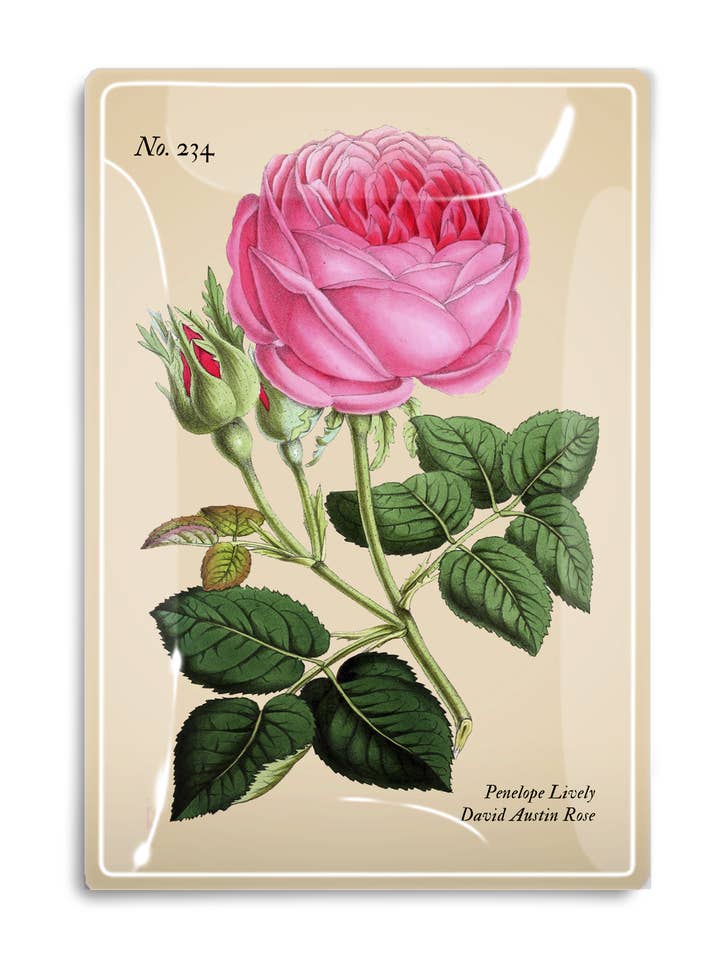 Penelope Pink Rose Decoupage Glass Tray for wholesale by Ben's Garden