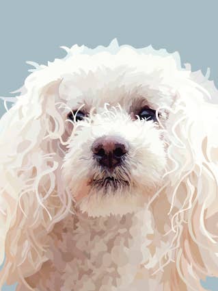 54C White Poodle / Periodic Society / Greeting Card for wholesale by Periodic Society