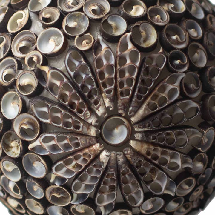 AWGifts Europe - Vente Lampes d'appoint/de bureau - Lampe Boho Sea Shell2