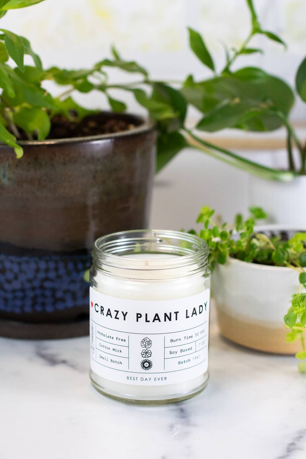 Rambling Caravan - Wholesale Jar/Filled Candle - Crazy Plant Lady Candle10