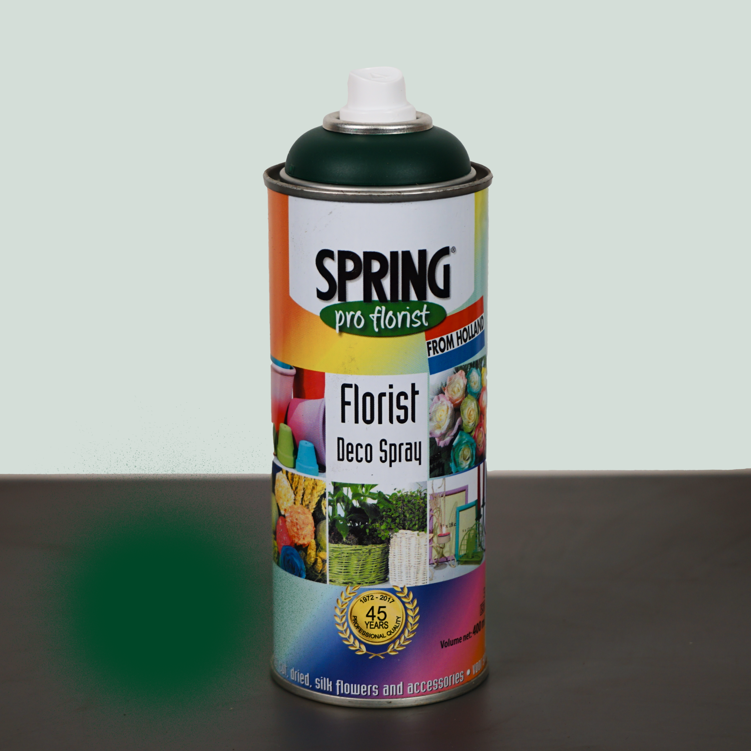 All Occasions Wholesale – wholesale Fresh cut flowers – Floral Spray Paint10