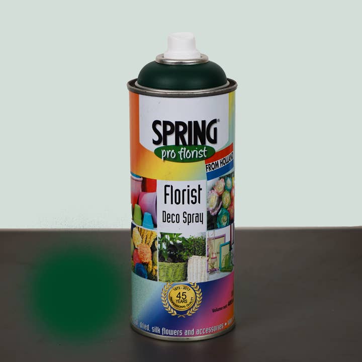 All Occasions Wholesale – wholesale Fresh cut flowers – Floral Spray Paint10