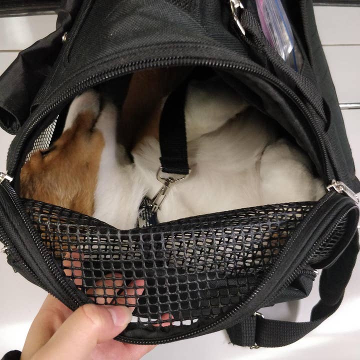 Prefer Pets Travel Gear - Wholesale Pet Carrier - Cat/Dog - Hideaway Backpack - Black2