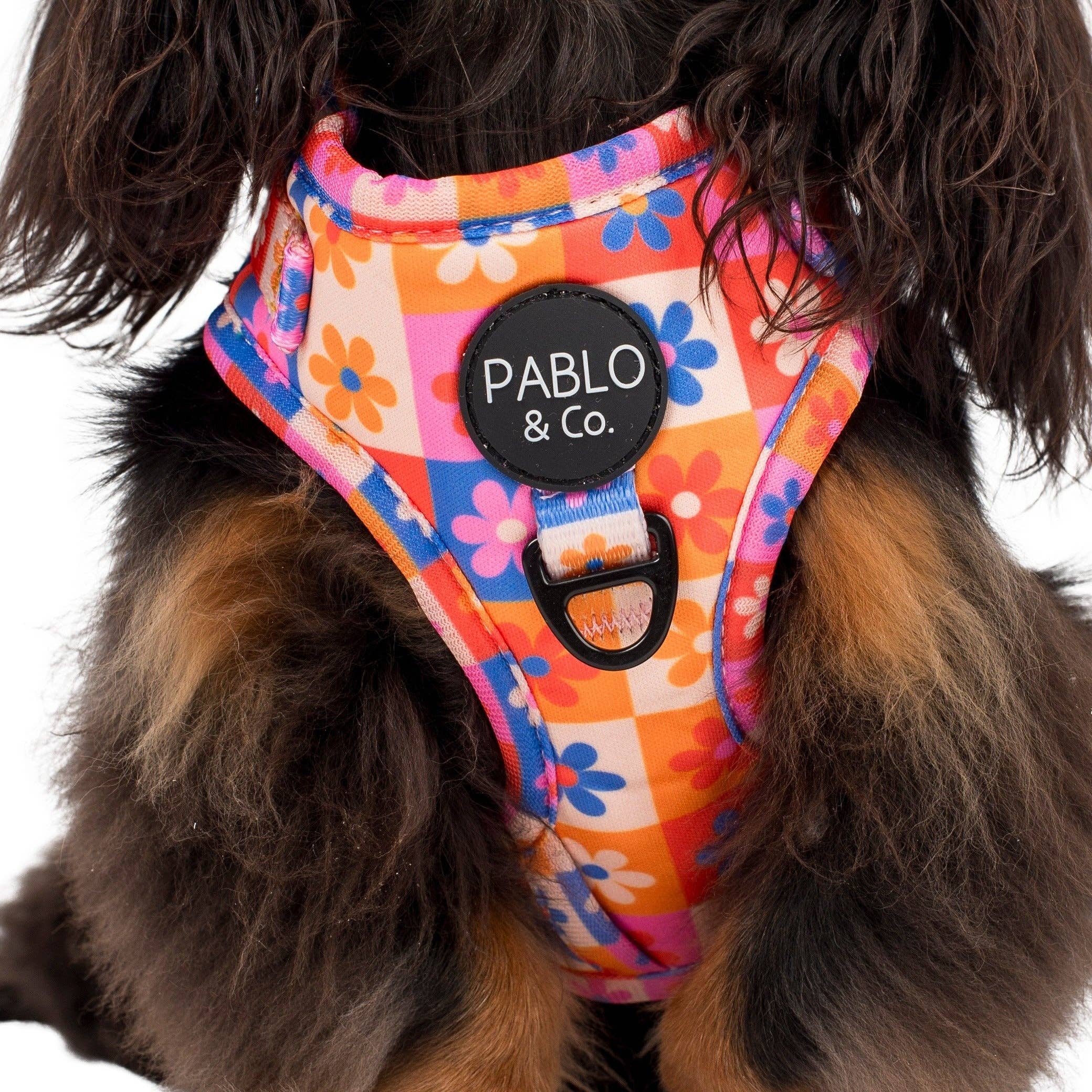 Pablo & Co. Boutique - Wholesale Pet Harness - Dog - Daisies For Days: Adjustable Dog Harness1