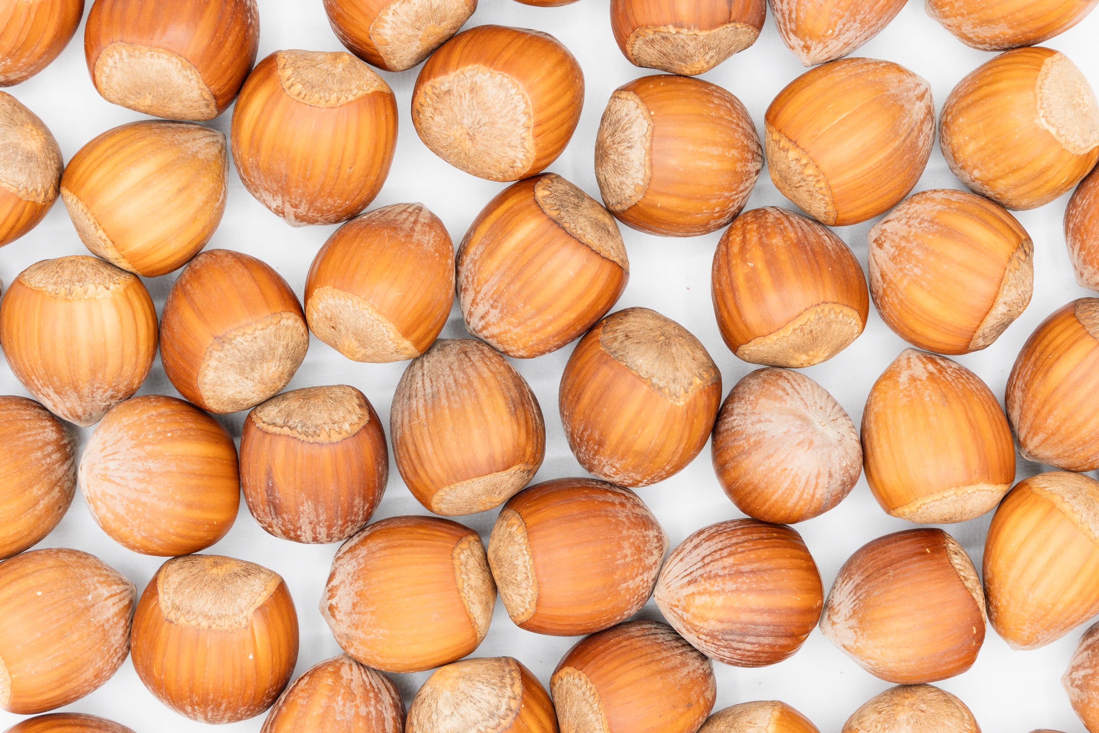 Agnellini Int Srl - Vente Noix - Noisettes décortiquées italiennes premium 2 kg0