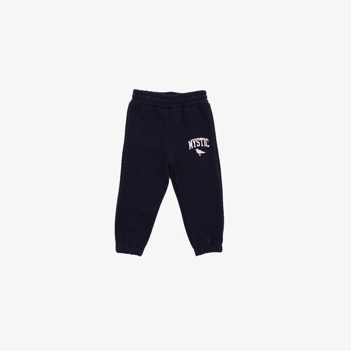 Mystieke Peuterjoggingbroek in Marineblauw voor wholesale door The Just Brand