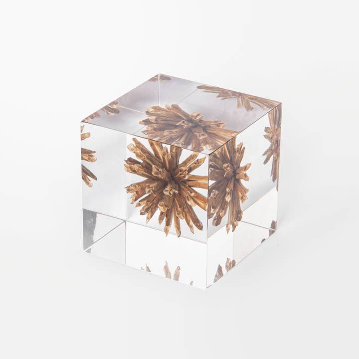 Lumière Creation - Vendita all'ingrosso Decorazioni da tavolo - Cubo Sympetalae3