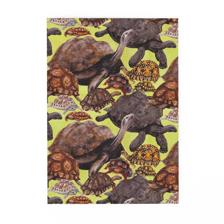 Krybning Af Skildpadder Print Postkort for engroshandel hos Bison Bindery