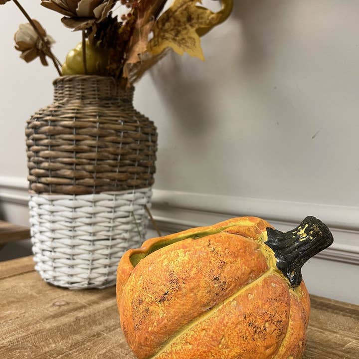Vagabond Vintage - Wholesale Plant Pot - Cement Pumpkin Planters