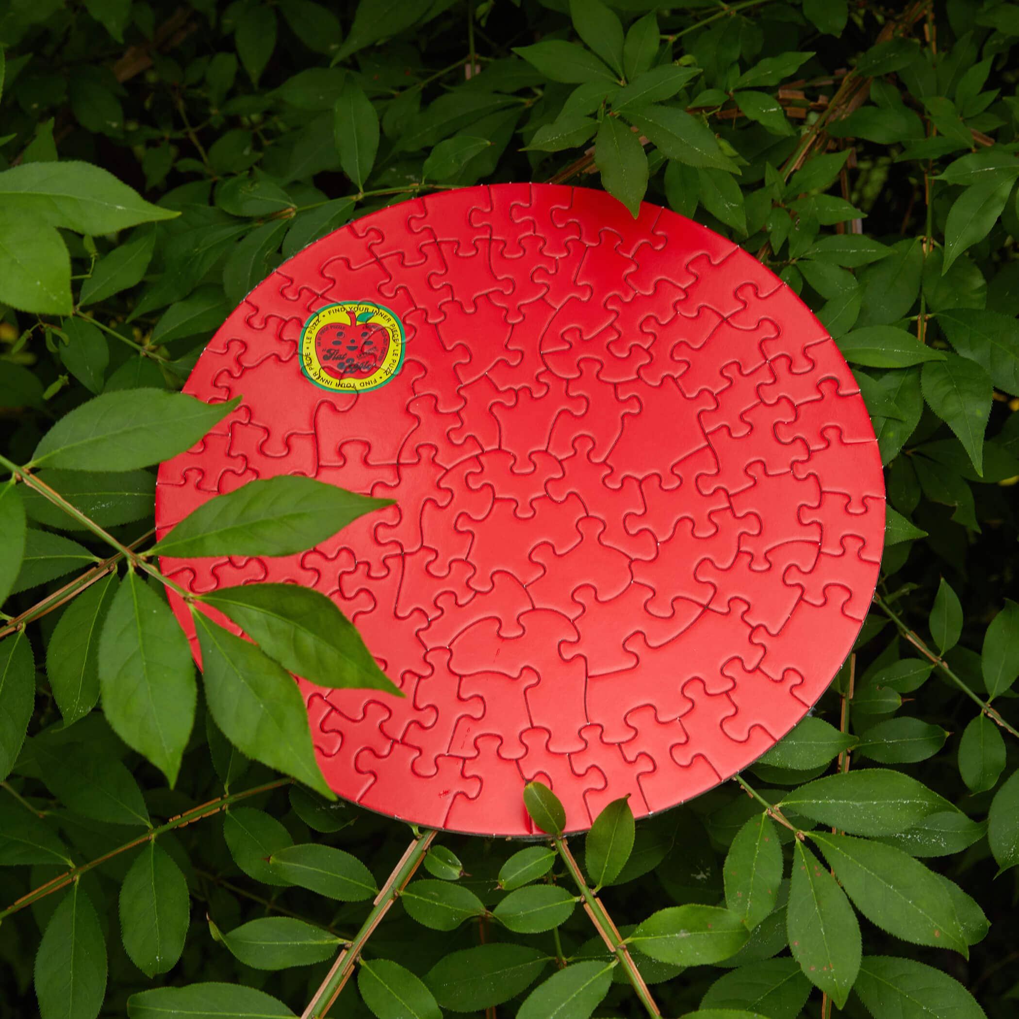 Le Puzz - Vente Puzzle – adulte - Puzzle miniature 81 pièces rouge uni « Pomme plate »4