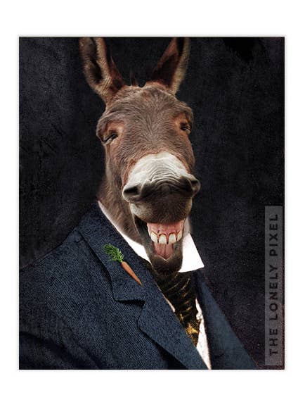 Eddie E. Smith - Donkey 8x10 Photography Art Print for wholesale by The Lonely Pixel