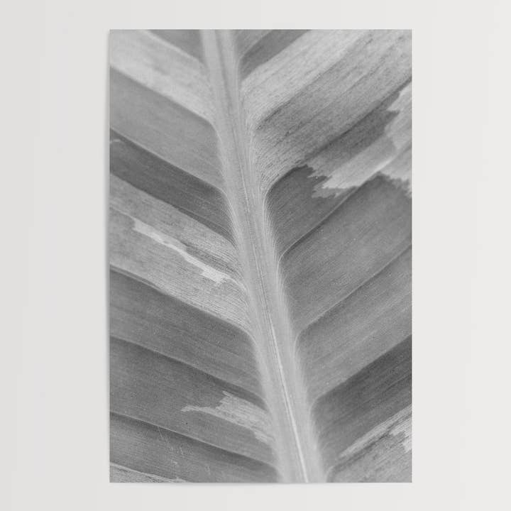 Brushstroke, a Modern Black & White Botanical Fine Art Print for wholesale by Rachel Richards Fine Art