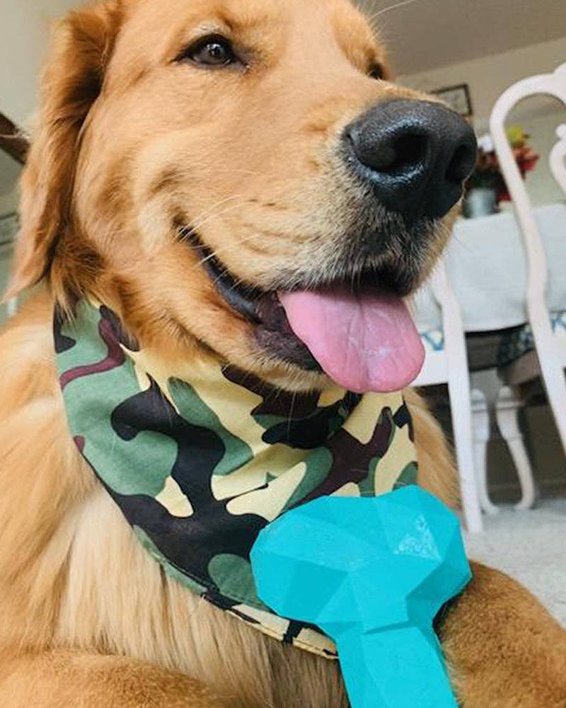 PAWZ - Wholesale Pet Chew Toy - Dog - Rubber Bone Dog Toy2