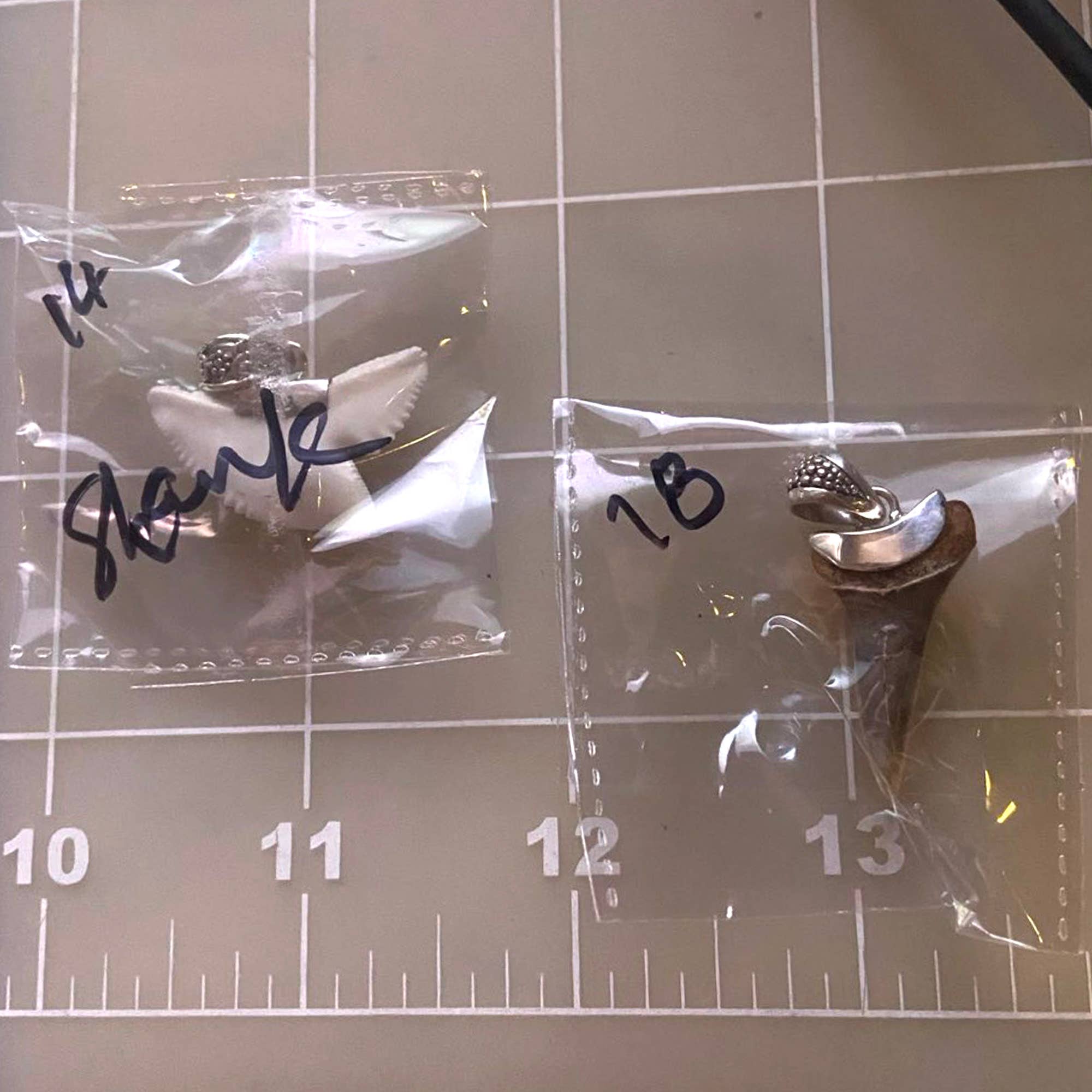 Kathmandu Jewelry - Wholesale Pendant/Charm Necklace - Sterling Silver Megalodon  Pendant4