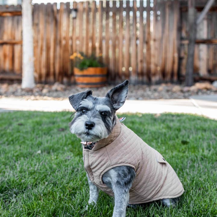 Manteau Rétro pour Chien Somerset pour la vente par UKUSCAdoggie