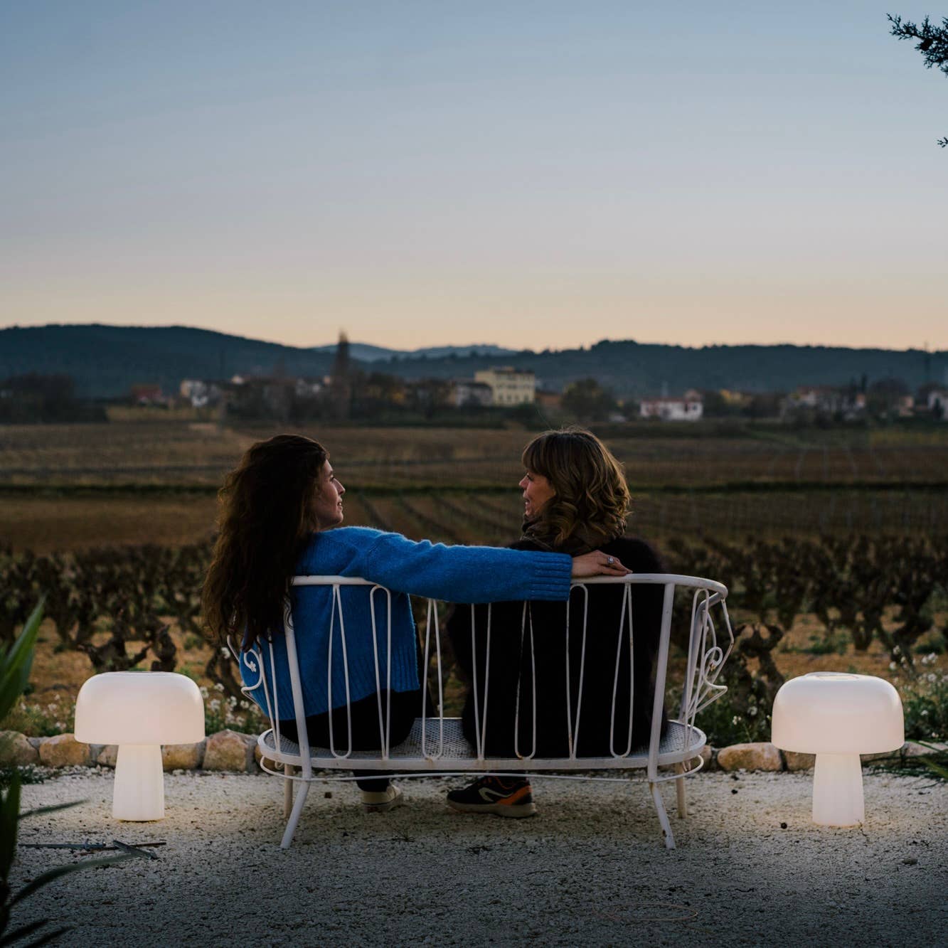 Goodnight Light - Wholesale Accent/Desk Lamp - The Boleti Lamp - Solar powered, portable lamp11