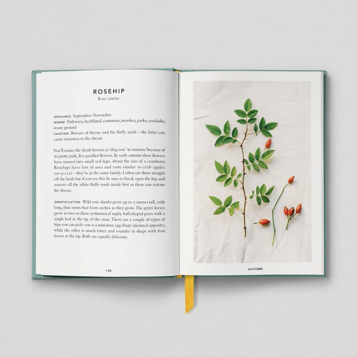 Hoxton Mini Press – wholesale Cookbooks and food – The Urban Forager7