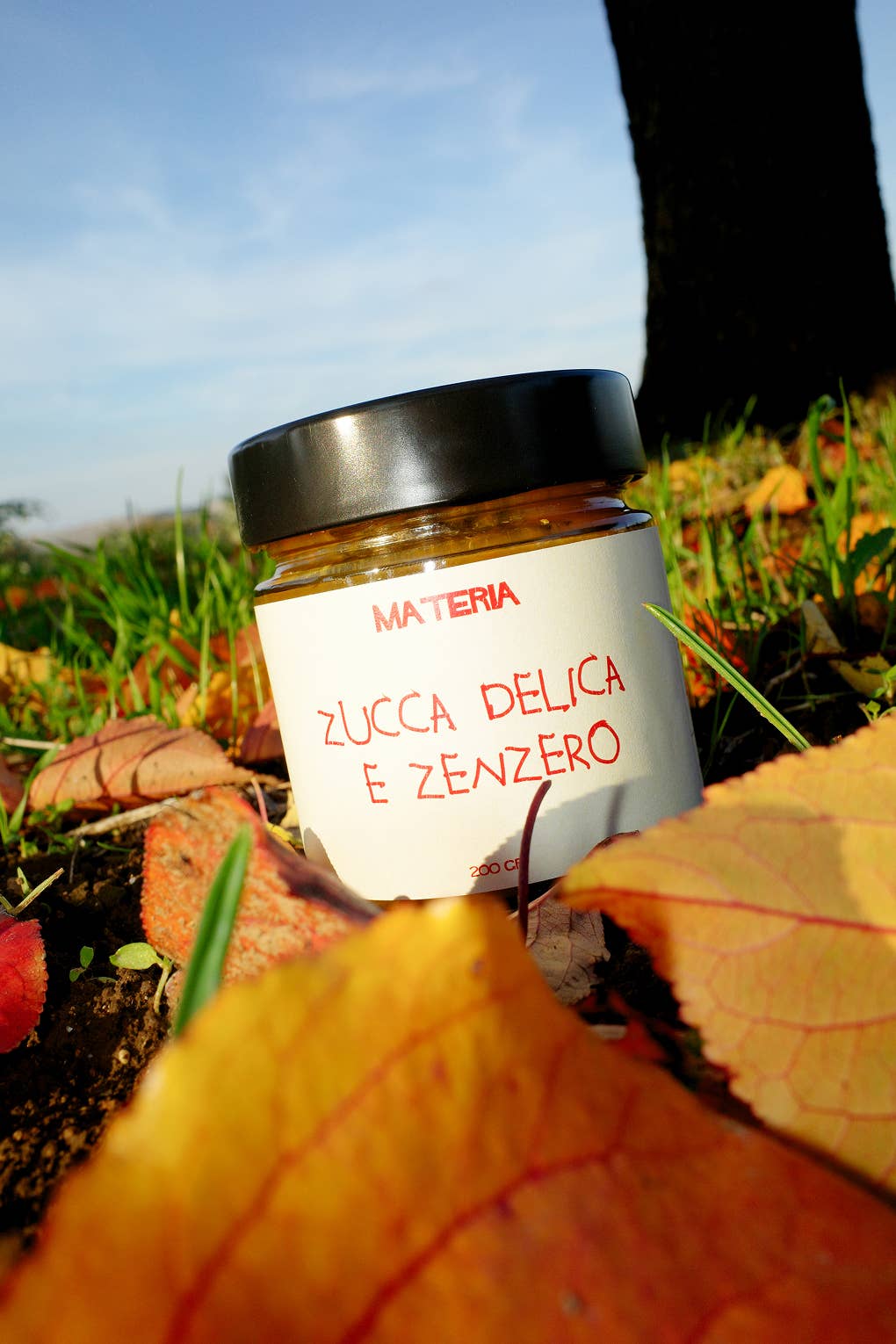 Materia - Wholesale Jam/Jelly - Delica Pumpkin and Ginger Jam - Zero Waste1