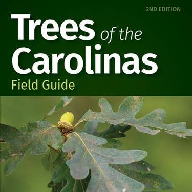 AdventureKEEN - Wholesale Nature Guide - Trees of the Carolinas Field Guide 2e