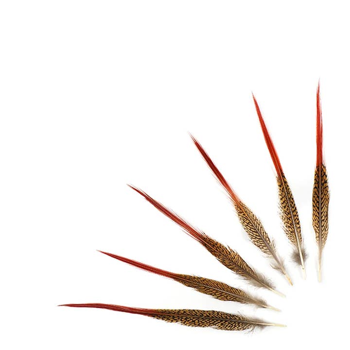 Zucker Feather Products - Wholesale Craft Supplies - 10 PC/PKG Golden Pheasant Red Top Tails 10-12"- Natural