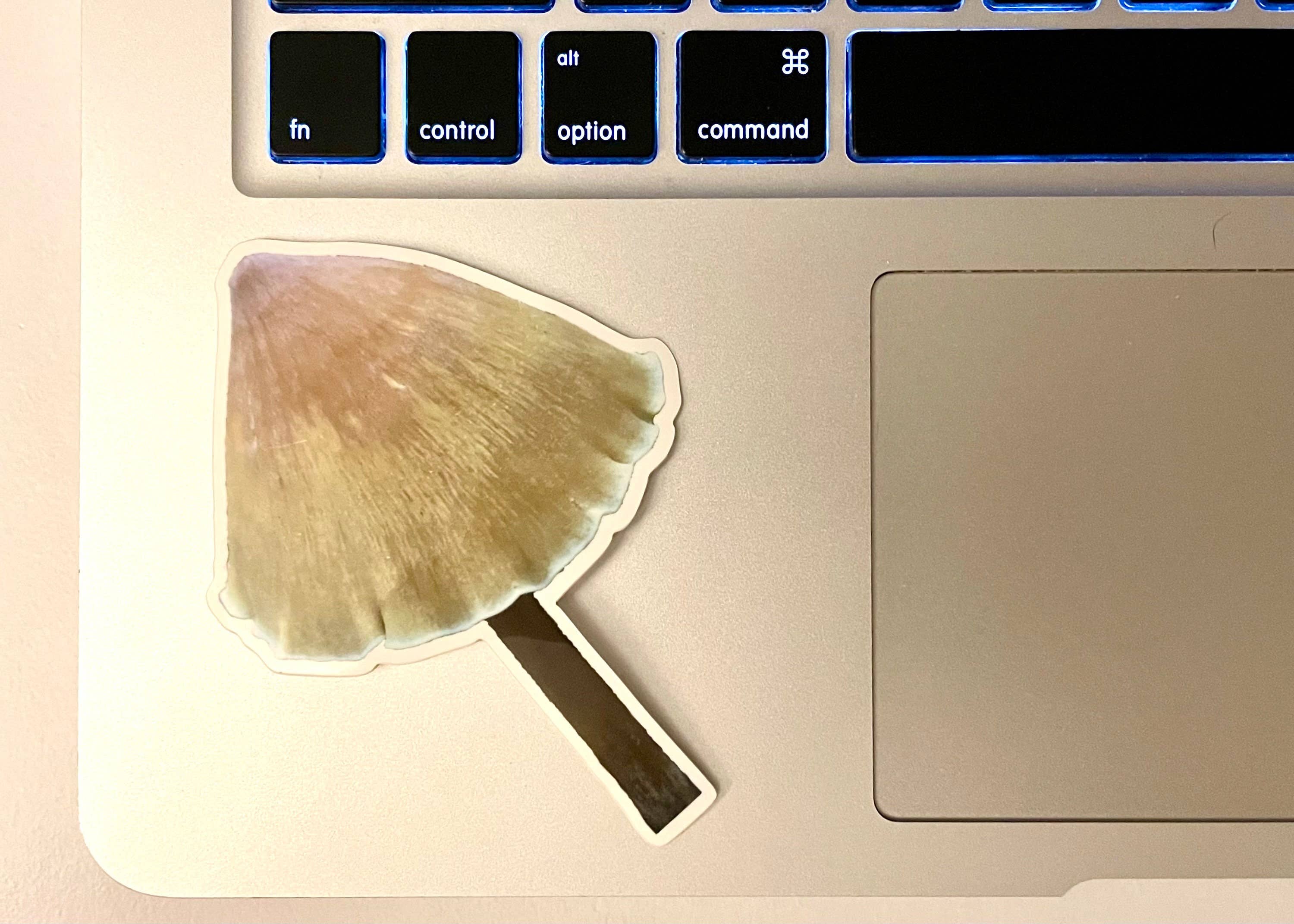 Stick Outside - Wholesale Sticker - California Redwood Rooter Mushroom Sticker4