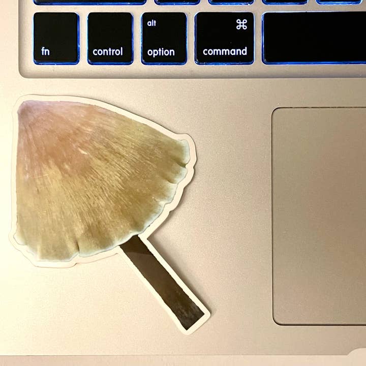 Stick Outside - Wholesale Sticker - California Redwood Rooter Mushroom Sticker4