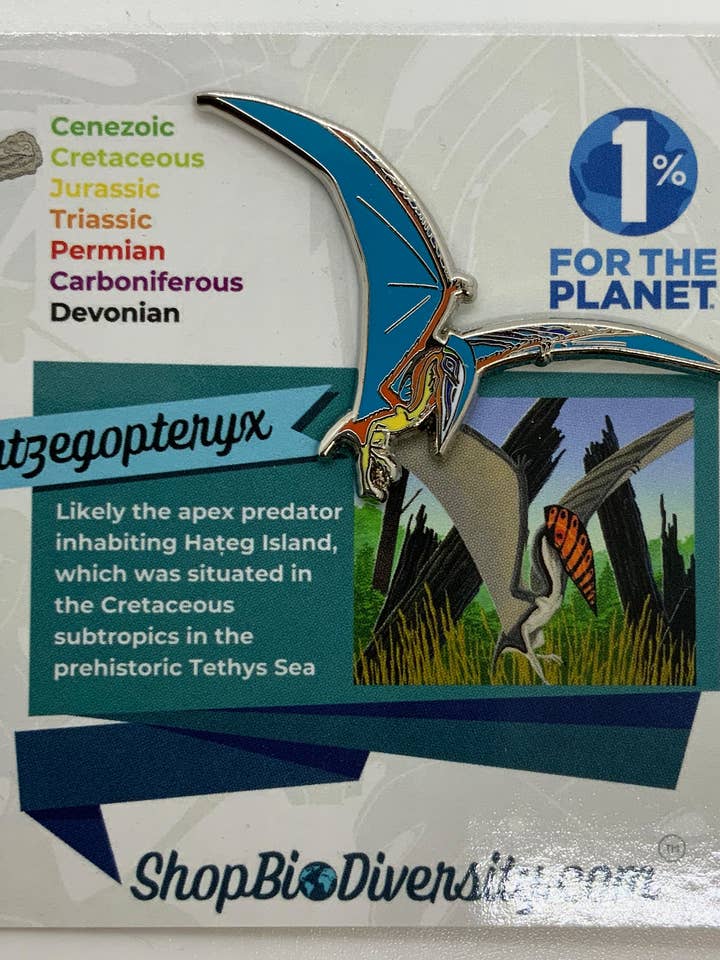 Alfinete de esmalte Hatzegopteryx - Arte pré-histórica do pterossauro por atacado de Shop BioDiversity