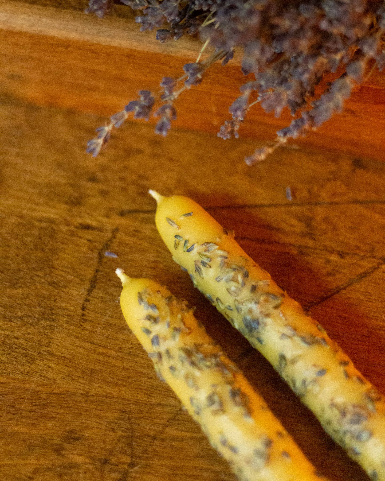 The Ramblin' Bee – wholesale Tapered candle/candlestick – Hand Dipped Beeswax Taper Candle with Lavender Buds3