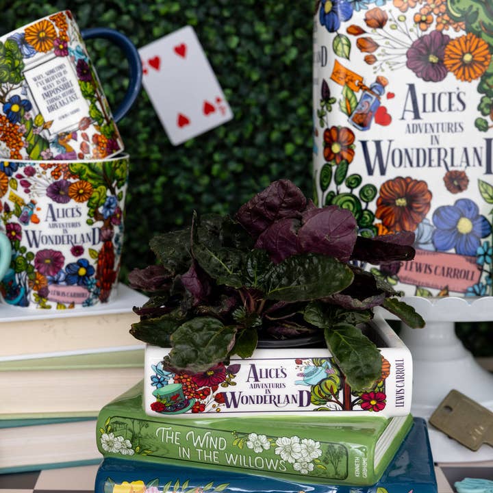 Steel Mill and Co. - Wholesale Plant Pot - Stacked Books Planter, Alice/Wind in the Willows/The Secret