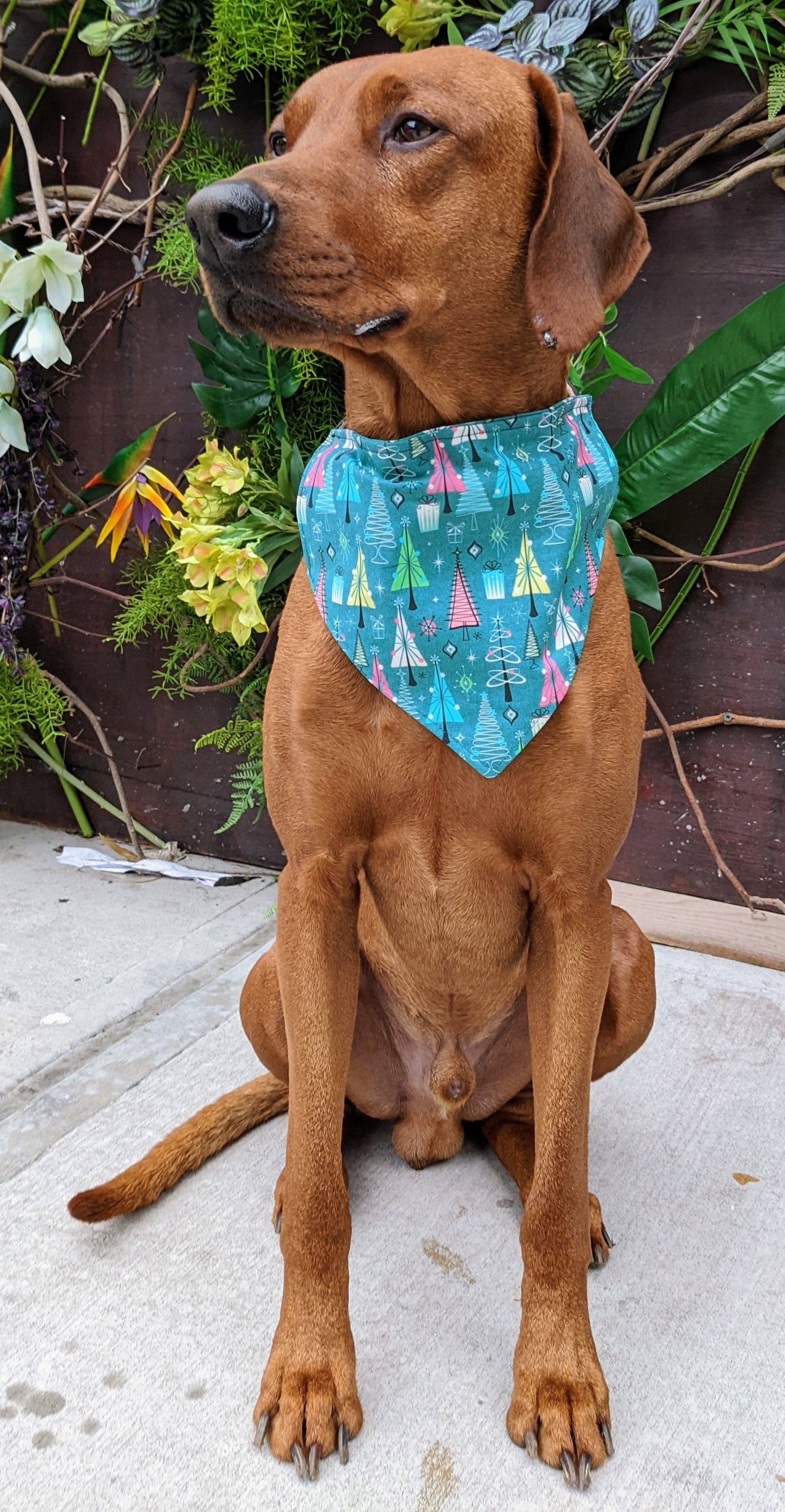 Koa's Ruff Life - Wholesale Pet Bandana - Dog - Christmas Tree Bandana1