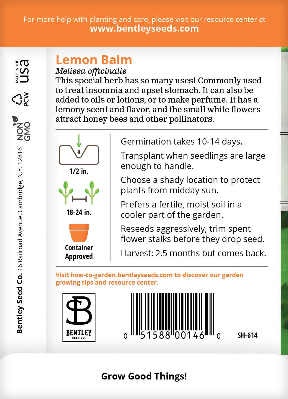 Bentley Seed Co. - Wholesale Plant Seeds - Lemon Balm Seed Packets1