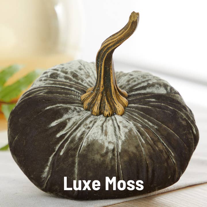 Your Heart's Content - Wholesale Decorative Tabletop Object - Pumpkin Large Velvet, Fall Mantel Decor, Halloween Table13