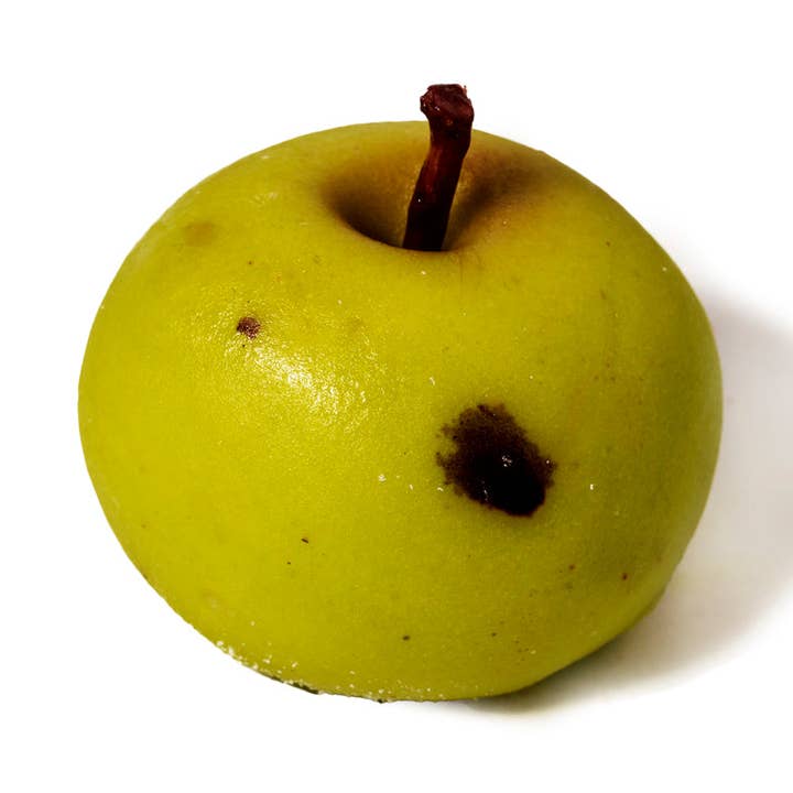 Fruta martorana Manzana para venta al por mayor de PECCATI DI GOLA 1976