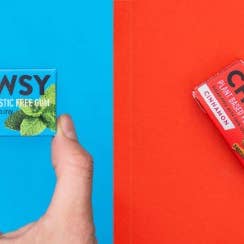 Chewsy – wholesale Chewing gum – Chewsy Spearmint Gum14