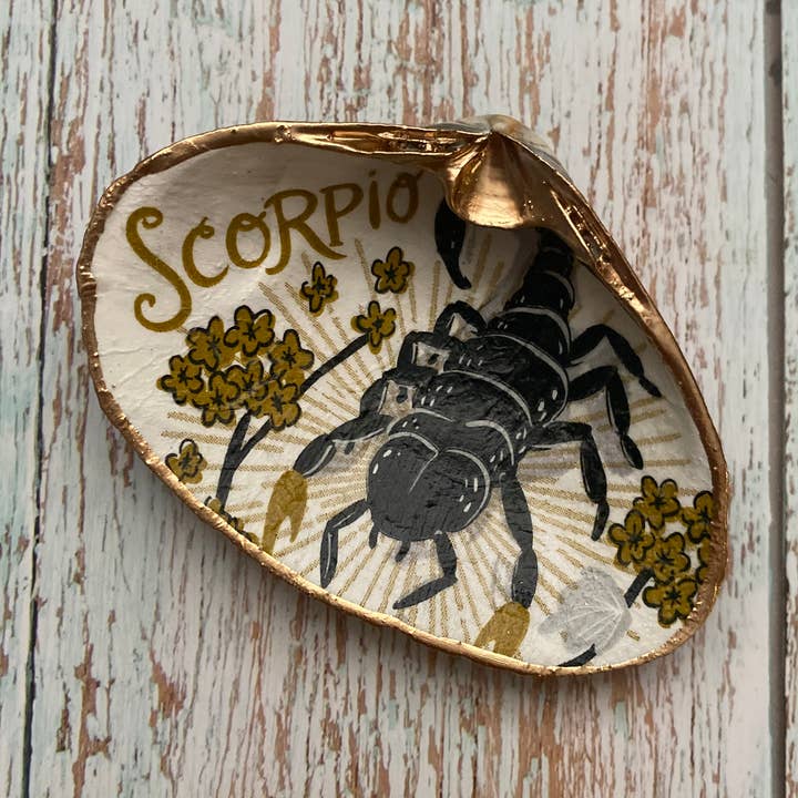 Serenity Shells - Wholesale Jewelry Dish - Scorpio Shell0