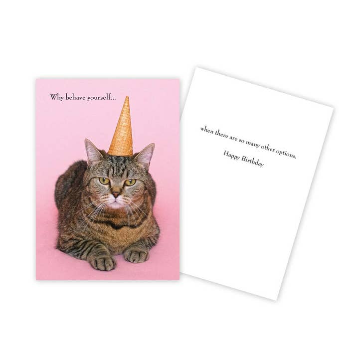 Sun Day Greetings - Vente Cartes d'anniversaire - Carte d'anniversaire drôle pour chat - Design de cornet de glace