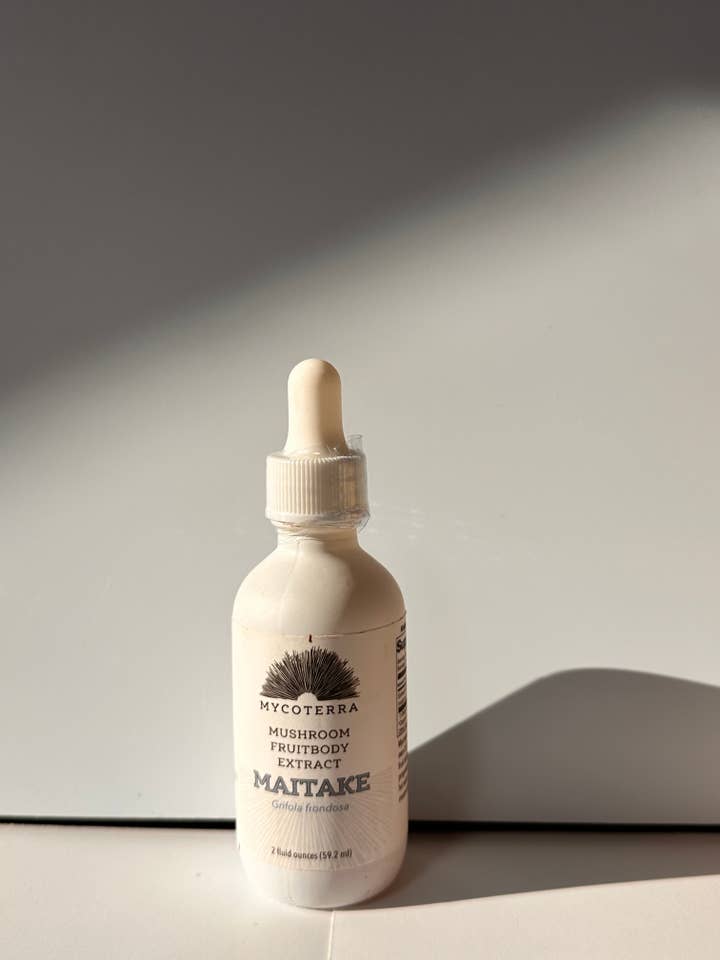 Organic Maitake tincture for wholesale by Mycoterra Farm