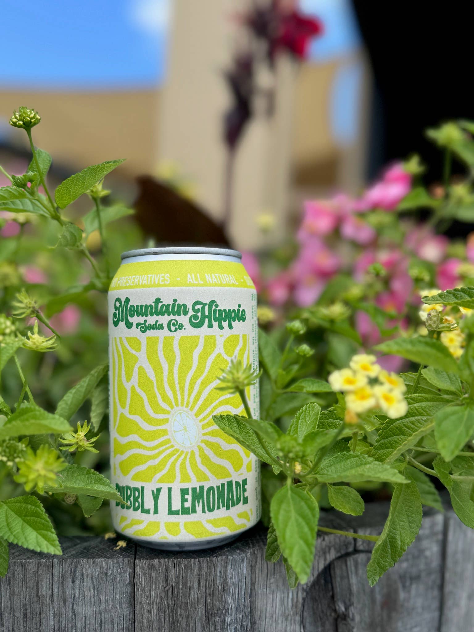 Mountain Hippie Soda Co. - Wholesale Soda/Carbonated Drink - Bubbly Lemonade1
