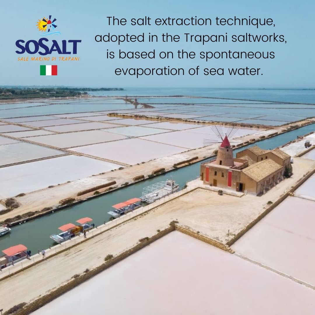 Wholesale Italian Food - Wholesale Salt - SoSalt, Fine Sea Salt from Sicily, 22 lb (10kg)1