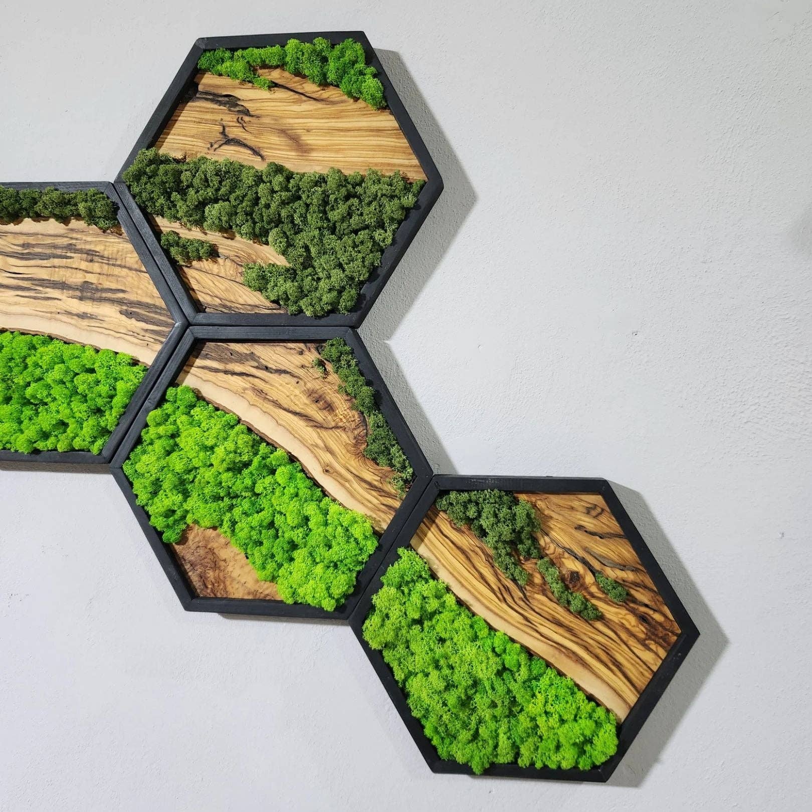 Artdesigna KG - Wholesale Wall Accent - Honeycomb Moss & Olive Tree | Premium Handmade Wall Sculptures7